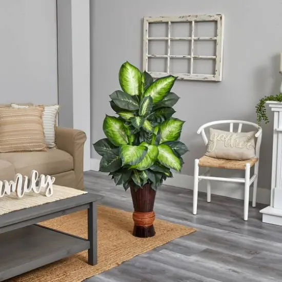 4ft. Golden Dumb Cane in Bamboo Planter {4}