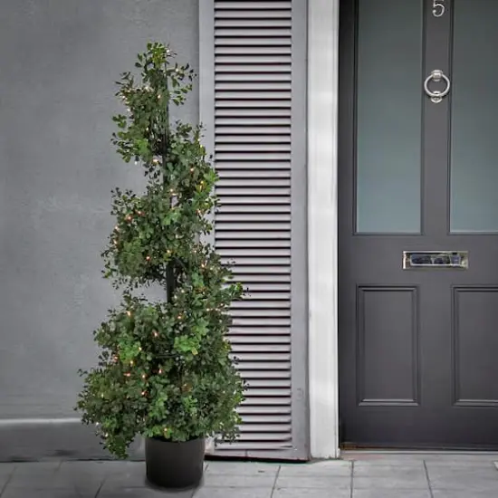 4ft. Pre-Lit Boxwood Spiral Topiary In Nursery Pot {3}