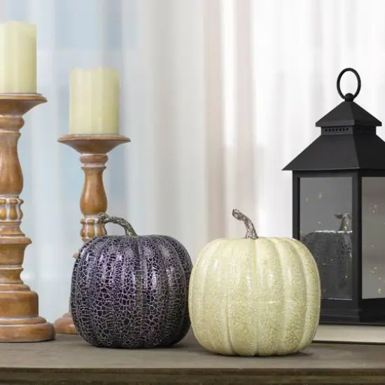 7" Black & Beige Fall Harvest Tabletop Pumpkin Set {3}