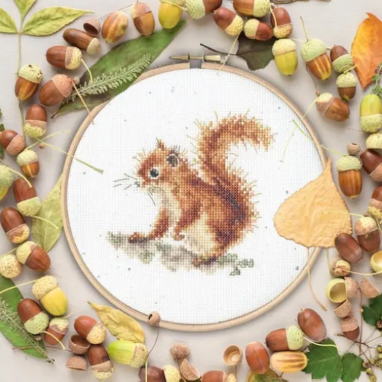 Bothy Threads Acorns Counted Cross Stitch Kit {3}