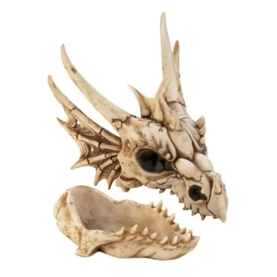 8.5" Detailed Dragon Skull Trinket Box {3}