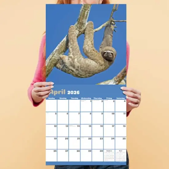 2026 Sloths Wall Calendar {5}