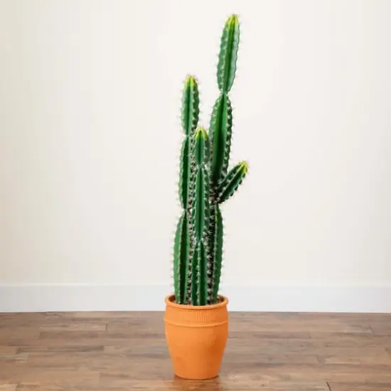 5ft. Cactus in Terracotta Planter {4}