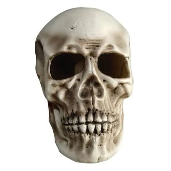 10.5" LED Skull by Ashland&reg; {1}