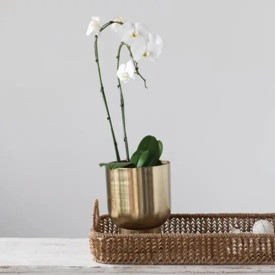 2.5ft. Natural Hand-Woven Buri Palm Tray with Handles {3}