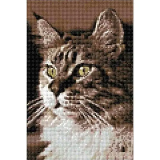 Crafting Spark Cat at Home Diamond Painting Kit {1}