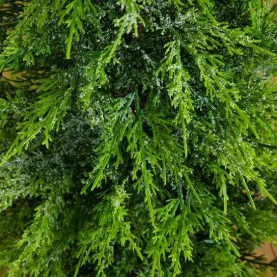 3ft. Pre-Lit Artificial Lightly Snowed Cypress Christmas Tree with 38 Warm White LED Lights in Decorative Weaved Basket {5}