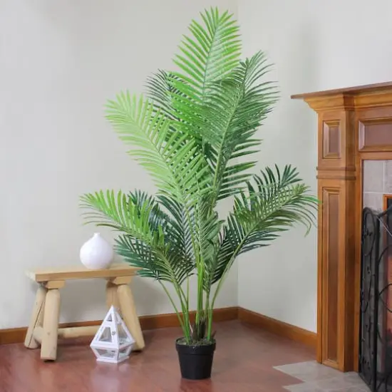 5.75ft. Green Potted Areca Palm Tree {5}
