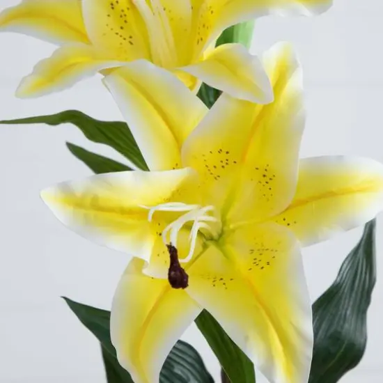 31" Yellow Lily Flower Stems, 3ct. {6}