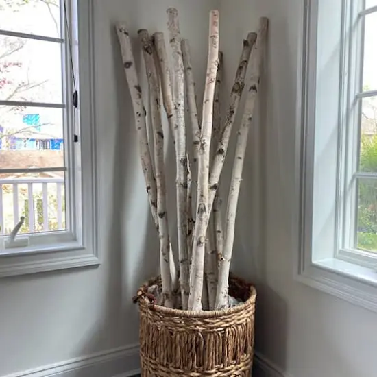 Wilson&reg; Enterprises White Birch Pole Pack {5}