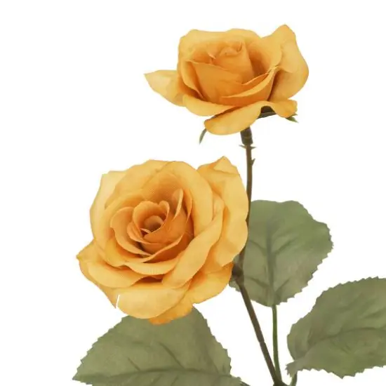 16" Yellow Rose Deluxe Bush by Ashland&reg; {4}