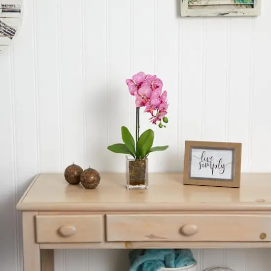 24" Pink Moth Orchid Arrangement in Vase {4}