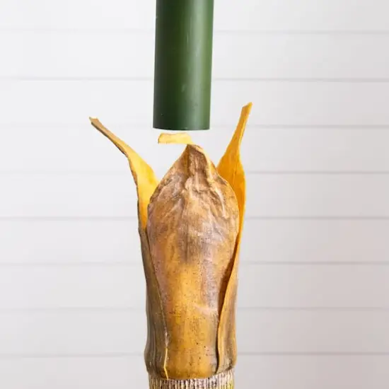 6ft. Potted Coconut Palm Tree {7}