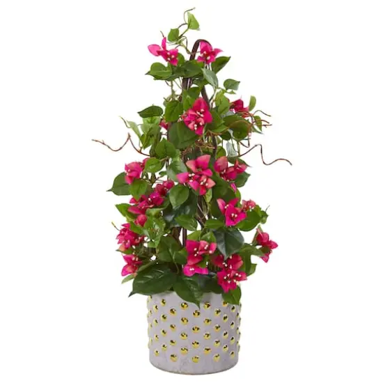 2ft. Pink Bougainvillea Climbing Tree in Designer Vase {1}