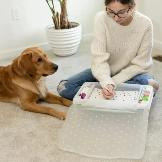 Everything Mary Pink Floral Plastic Lap Desk {6}
