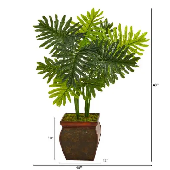 3.5ft. Philodendron Plant in Decorative Planter {3}