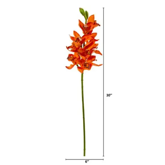 Boat Orchid Stem, 6ct. Orange {3}