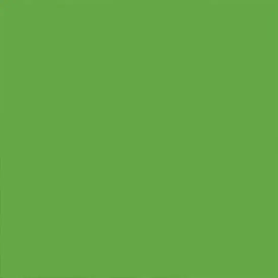 Ironlak Acrylic Spray Paint Cameleon {4}