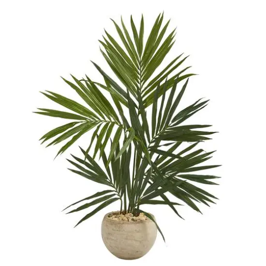 4ft. Kentia Palm Tree in Round Sand Colored Planter {1}