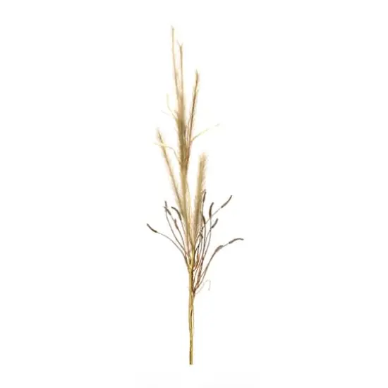 47" Foxtail Grass Sprays, 2ct. {1}