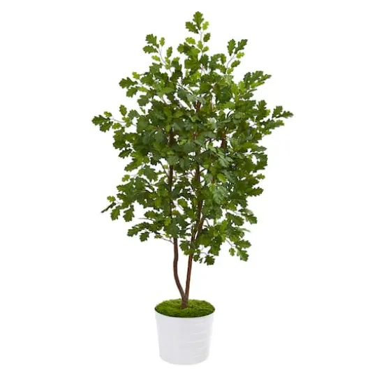 4ft. Oak Tree in White Tin Planter {1}