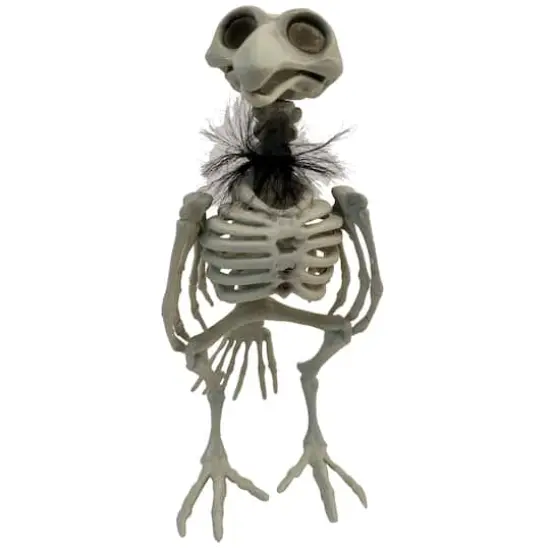 11.5" Crow Skeleton with Feathers by Ashland&reg; {1}