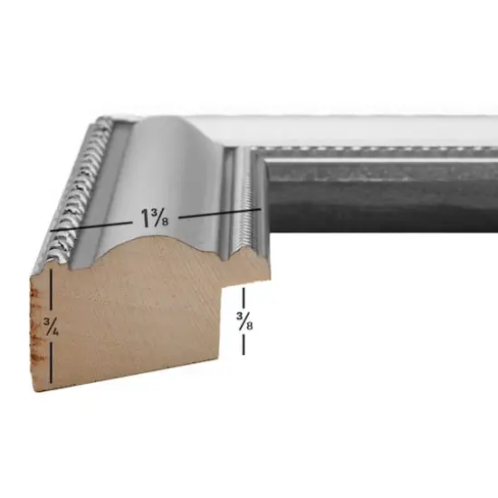 Craig Frames Victoria Silver Picture Frame {5}