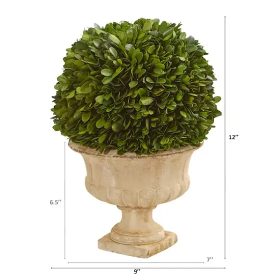 12in. Boxwood Topiary Ball in Decorative Urn {3}