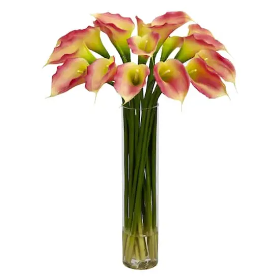 27" Pink Calla Lily Arrangement in Clear Cylinder Vase {1}