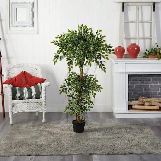 5ft. Potted Elegant Ficus Tree {4}