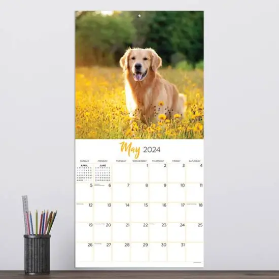 TF Publishing 2024 Golden Retrievers Wall Calendar {5}
