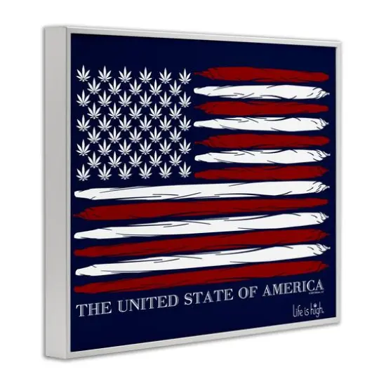 Stupell Industries Herb America Flag Framed Giclee Art White {4}