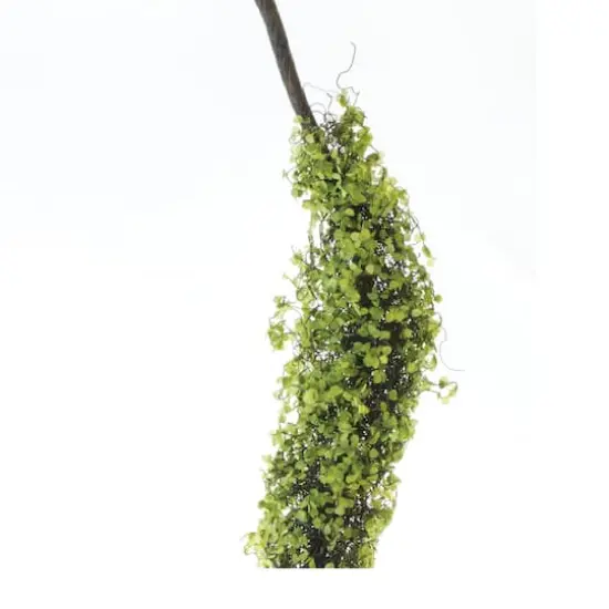 40" Moss Foliage Vine Branches, 2ct. {3}
