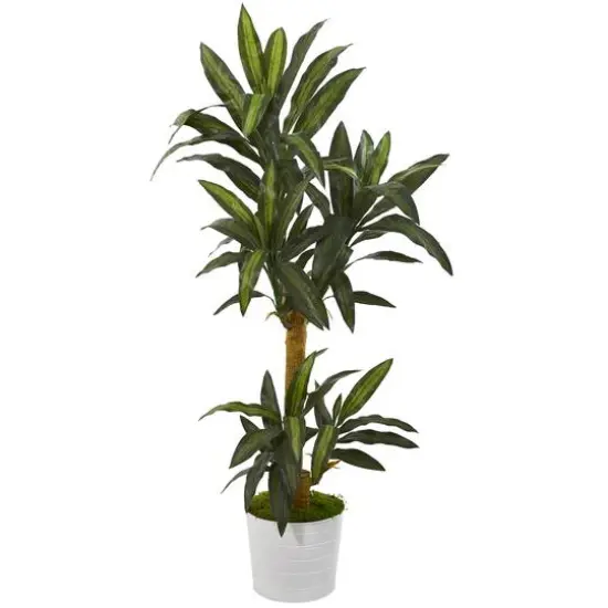 5ft. Yucca Plant in White Tin Planter {1}