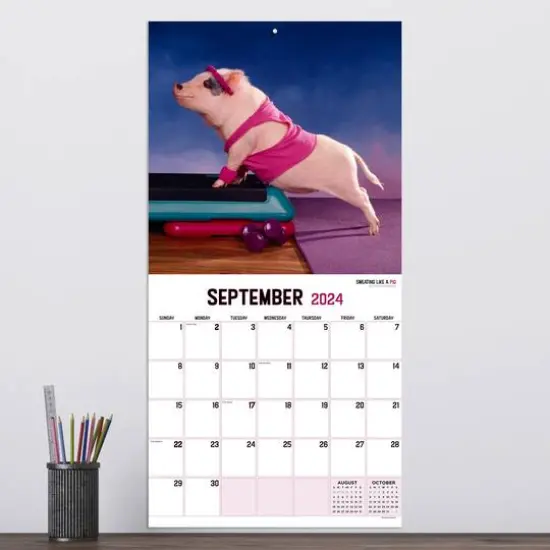 TF Publishing 2024 Playful Pigs Wall Calendar {5}