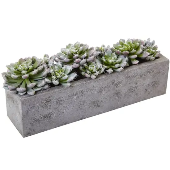 13.5" Succulent Garden with Textured Concrete Planter {1}
