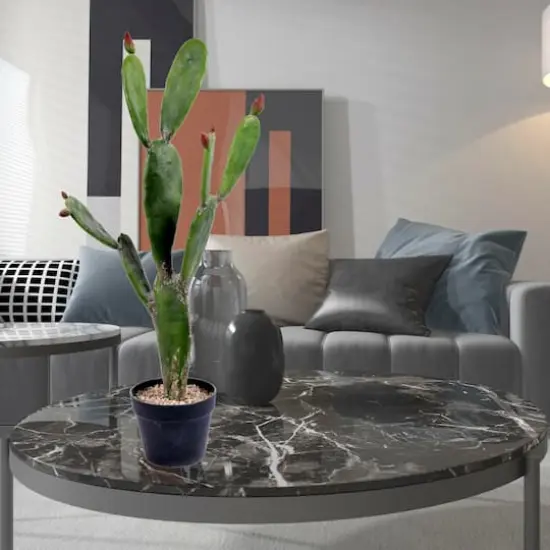 3ft. Potted Green Cactus {3}