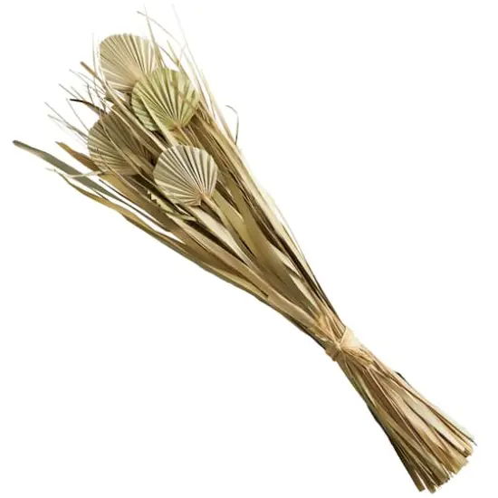 40" Green Dried Plant Bouquet Grass Natural Foliage with Fan Like Palm Leaves {8}
