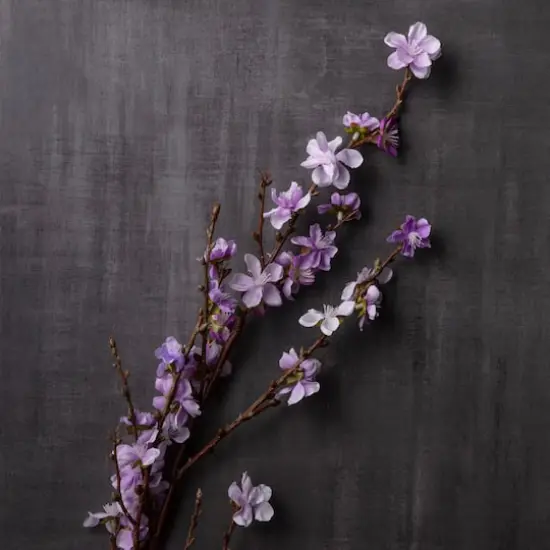 Peach Blossom Stem by Ashland&reg; Lavender {3}