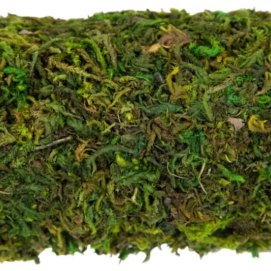 14" Green Reindeer Moss Square Spring Wreath {5}