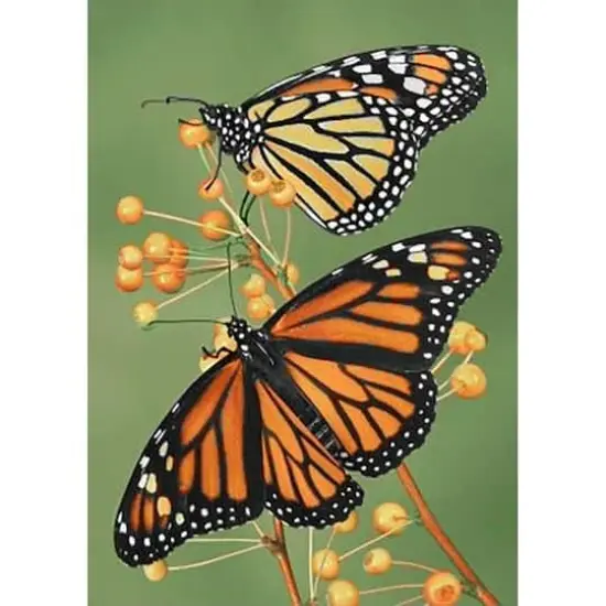 Wizardi Softness Diamond Painting Kit {3}