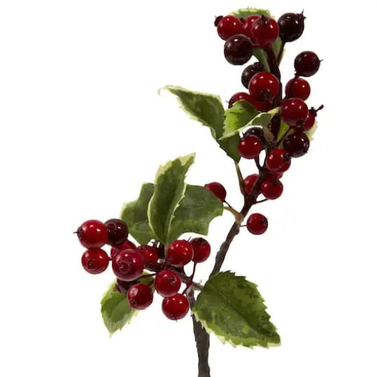 Holly Berry Stem, 6ct. {3}