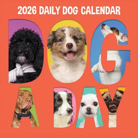 2026 Dog-A-Day Wall Calendar {1}