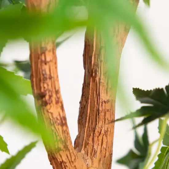 4ft. Potted Maple Tree {7}
