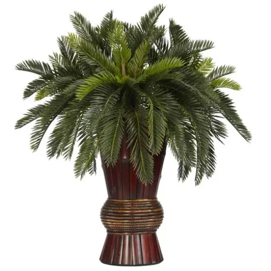 2.5ft Cycas Palm Tree in Bamboo Planter {1}