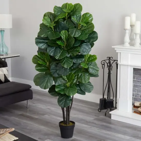 5ft. Potted Fiddle Leaf Fig Tree {4}