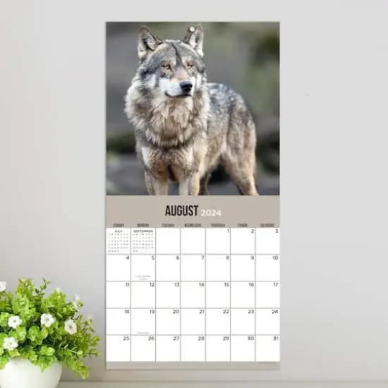 TF Publishing 2024 Wolves Mini Calendar {5}
