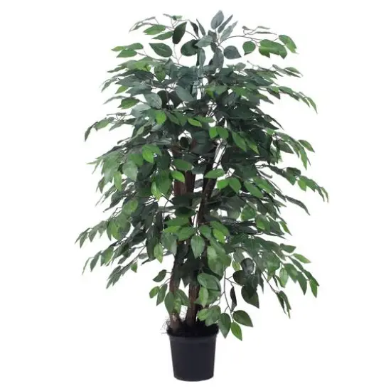 4ft. Potted Lush Green Ficus Bush {1}