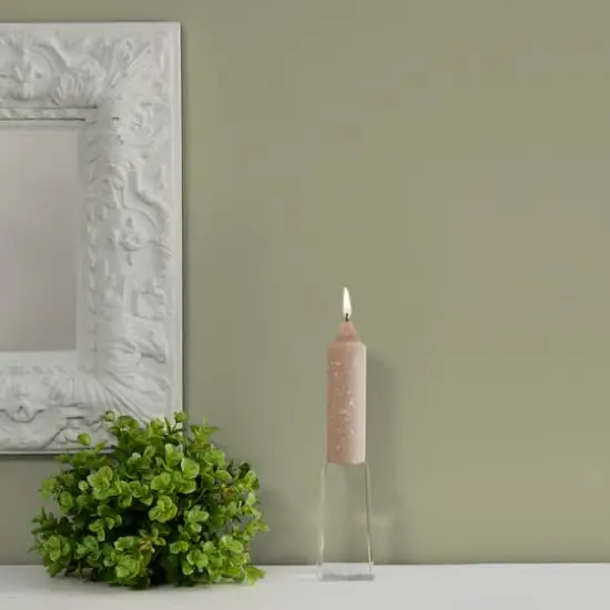 Root Candles 5" Unscented Timberline&trade; Collenette Taper Candles, 8ct. Taupe {4}