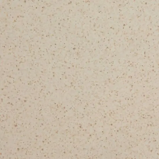 Hello Honey® 10.25" Cream Speckled Glaze Stoneware Plate, 2ct. {6}